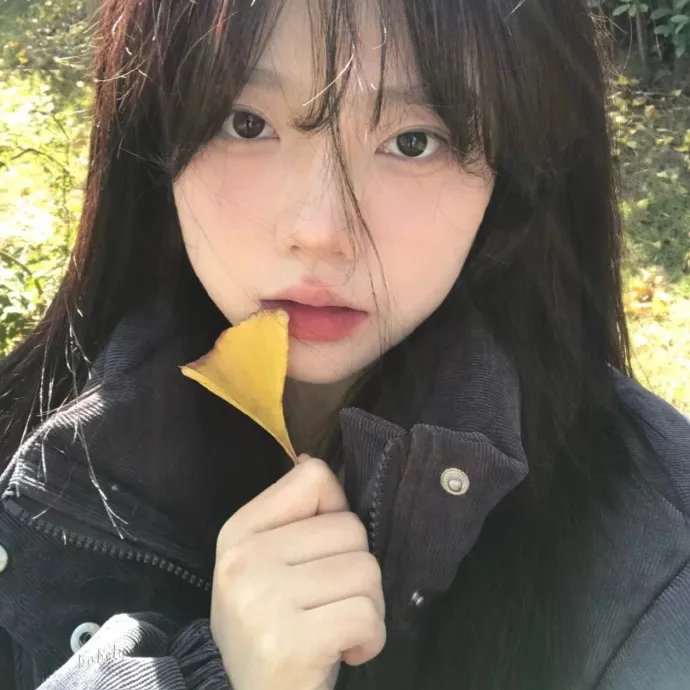 烽火雁翎