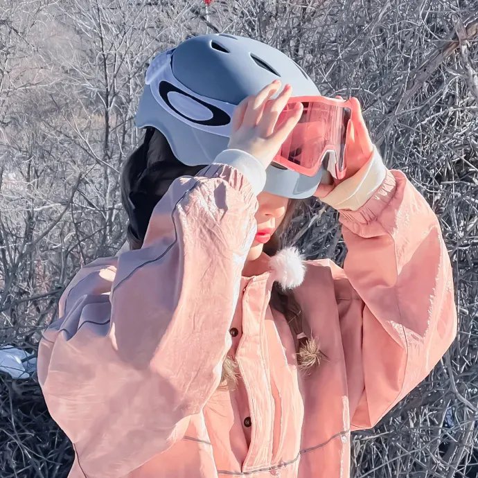 红酒烩鸡