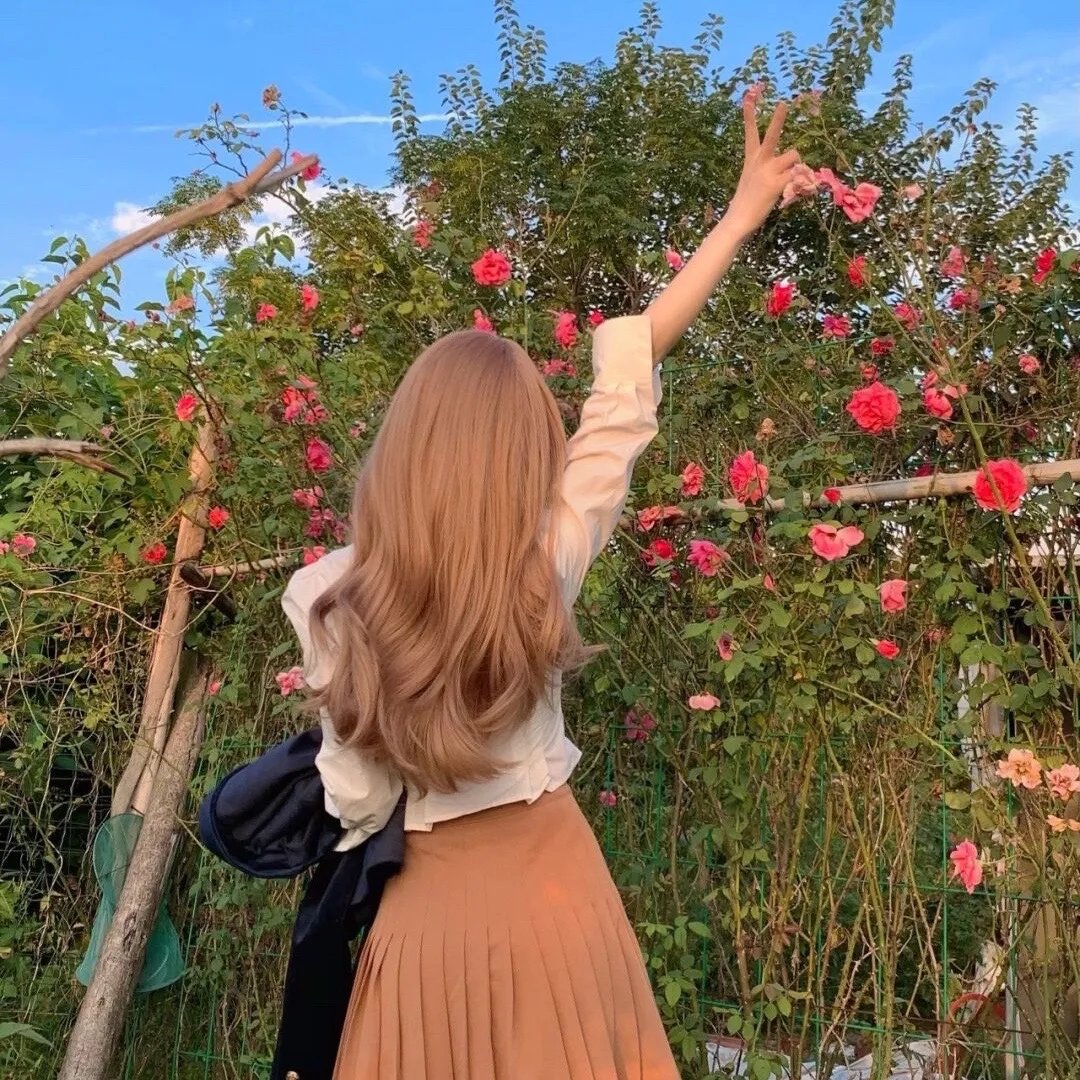 红蝎子之带泪梨花